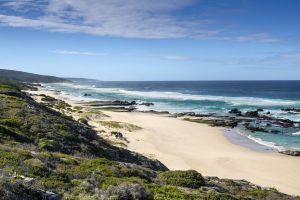 De Hoop Nature Reserve
