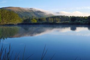 Highlander Trout Lodge