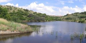 Kloofendal Nature Reserve
