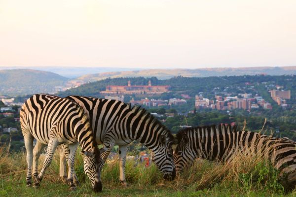Klapperkop Nature Reserve