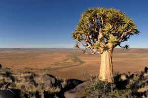 Meerkat National Park