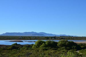 Rocherpan Nature Reserve