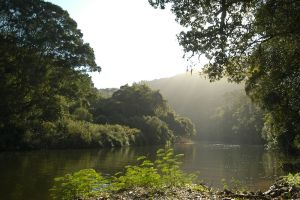 Wilderness National Park