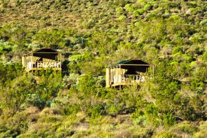 Agama Tented Camp