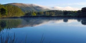 Highlander Trout Lodge