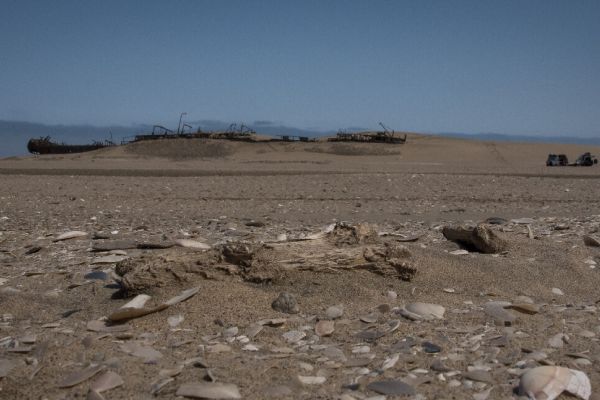 The Namib100 Hike