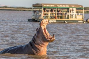 Imfolozi Game Reserve