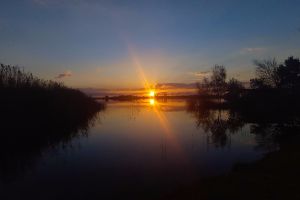 Boskop Dam Nature Reserve