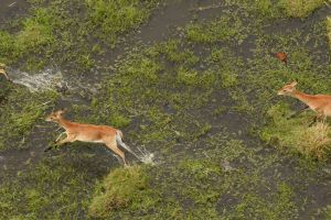 Nkasa Rupara National Park