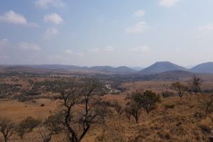 Rhenosterspruit Nature Conservancy