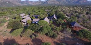 Buffalo Thorn Lodge