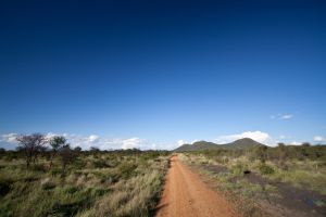 Madikwe Game Reserve