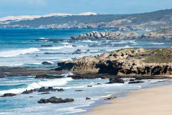 De Hoop Camino