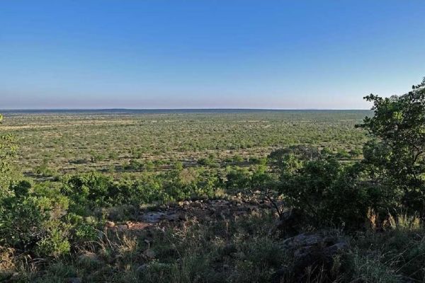 Botsalano Game Reserve