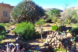 Asbos Skerm Guesthouse