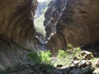 Echo Ravine Hike