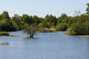 Nooitgedacht Dam Nature Reserve
