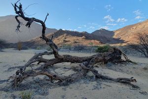Damaraland Camino