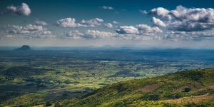Gorongosa National Park