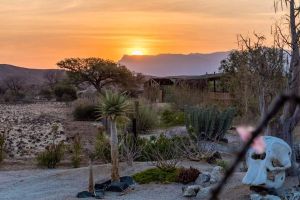 Daureb Isib Campsite and B&B