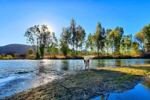 Honeypot Fly Fishing Eco Chalet