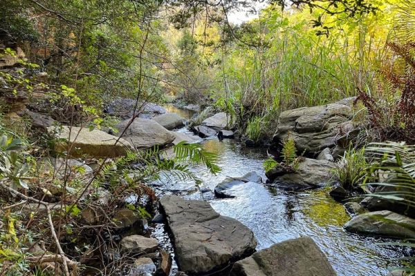 B’sorah Adventures