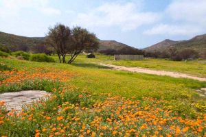 Modderfontein Farm Campsite
