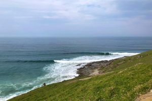 Buffys Surf Bungalow