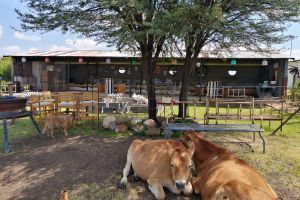 Anders @ Koppiesvlei