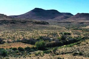 Dassiekloof Gasteplaas