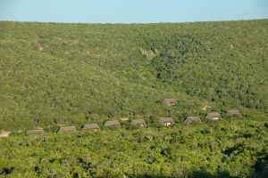 SANParks Addo Matyholweni Rest Camp