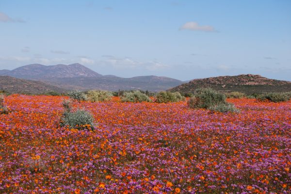 Namaqua Silver Sands Trail