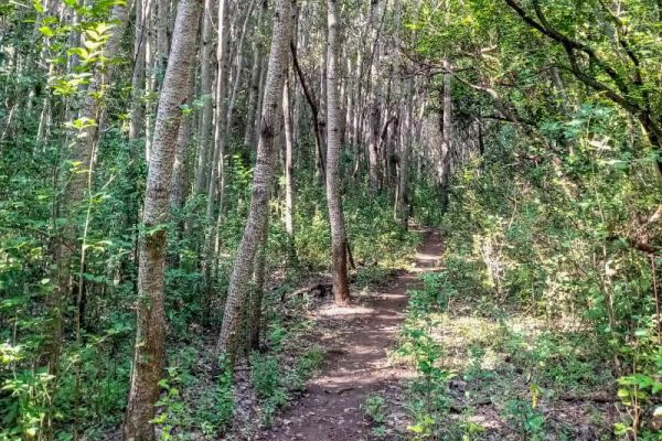 B’sorah Adventures