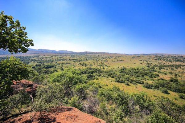 B’sorah Adventures