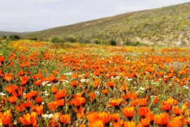 Namaqua Silver Sands Trail