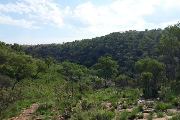 B’sorah Adventures