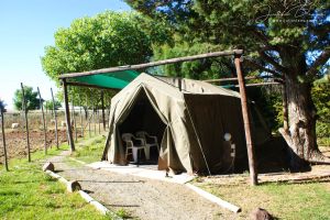 Karoo Gariep Tented Camp