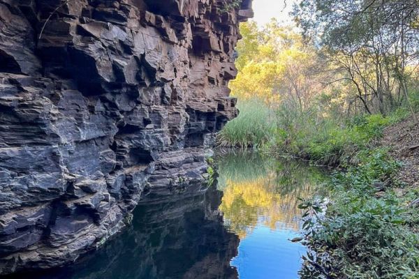 B’sorah Adventures