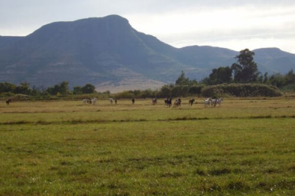 Sphinx Hiking Trail, Moolmanshoek